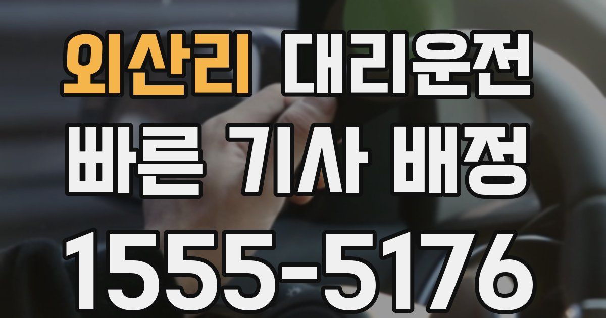 일일대리기사