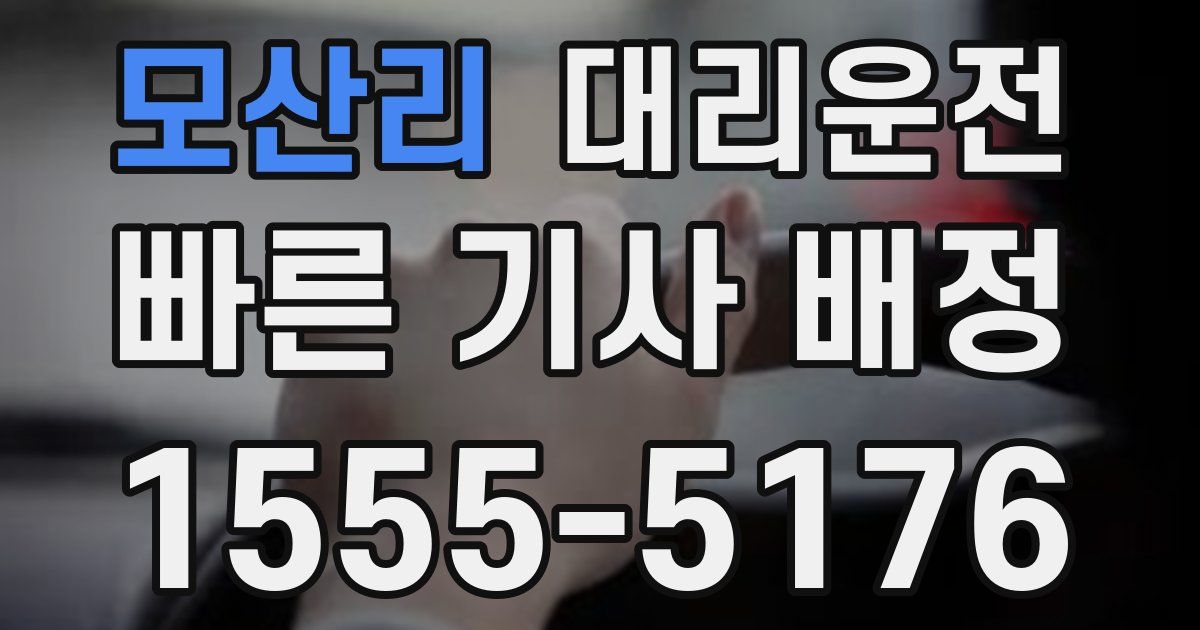 일일대리기사