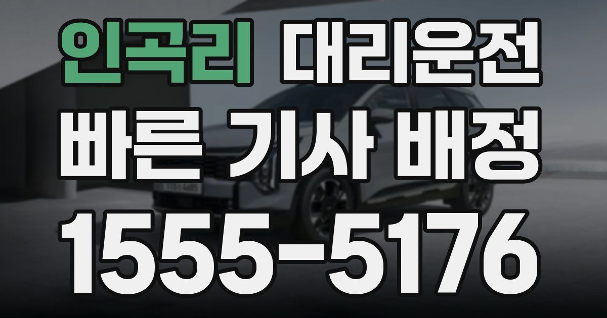일일대리기사