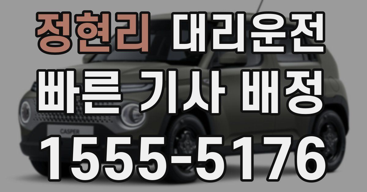 일일대리기사