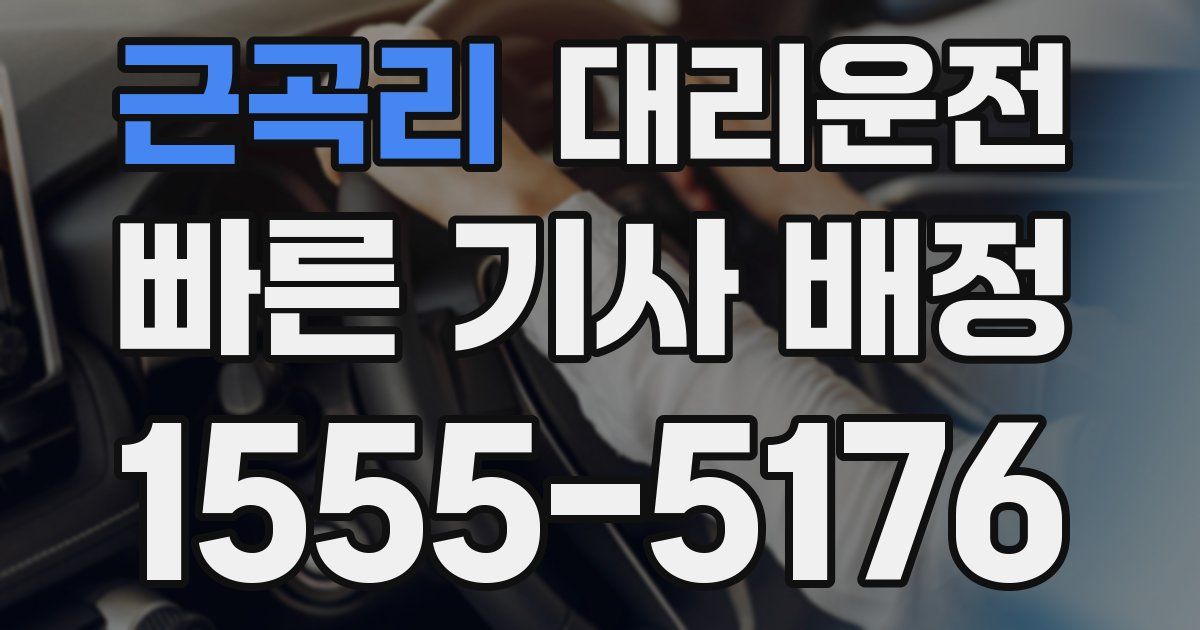 일일대리기사