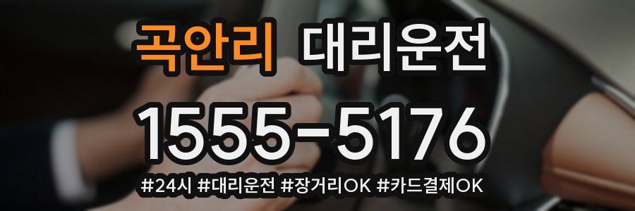 곡안리 대리운전