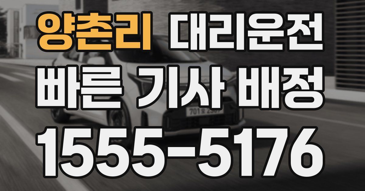 일일대리기사