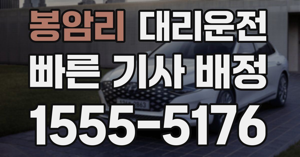 일일대리기사