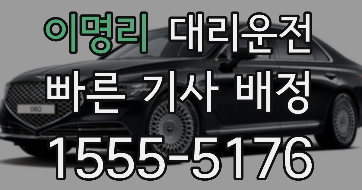 일일대리기사