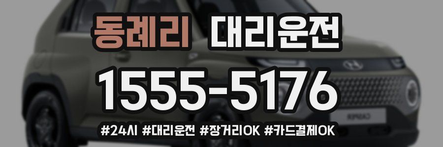 동례리 대리운전