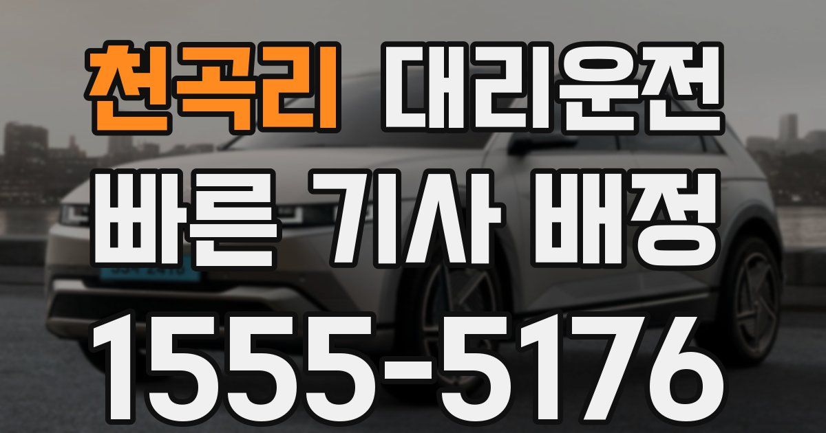 일일대리기사