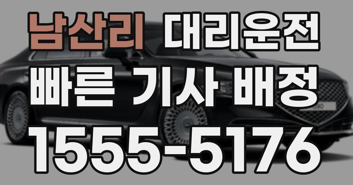 일일대리기사