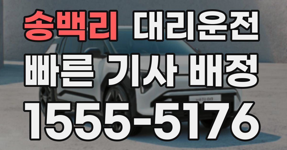 일일대리기사