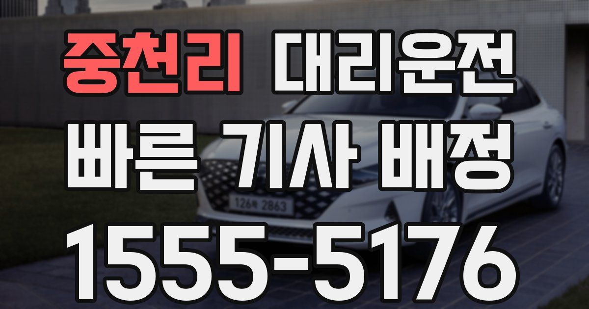 일일대리기사