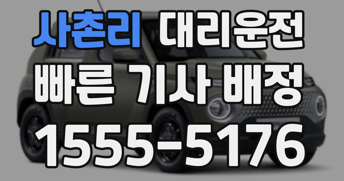 일일대리기사