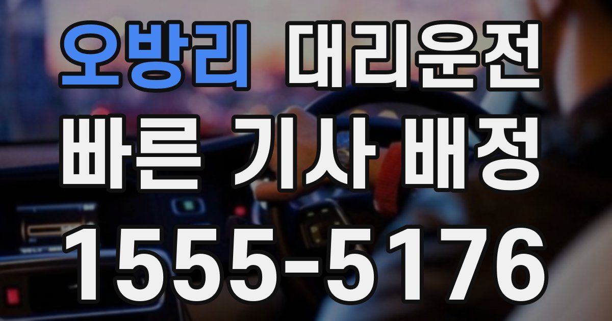 일일대리기사