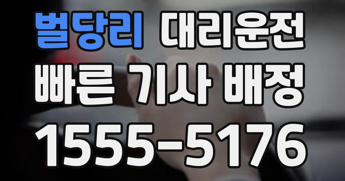 일일대리기사