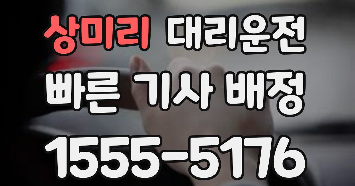 일일대리기사