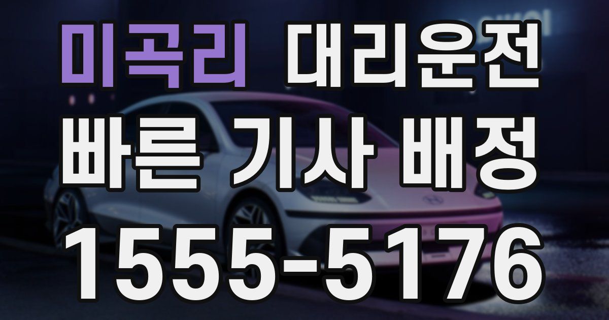 일일대리기사