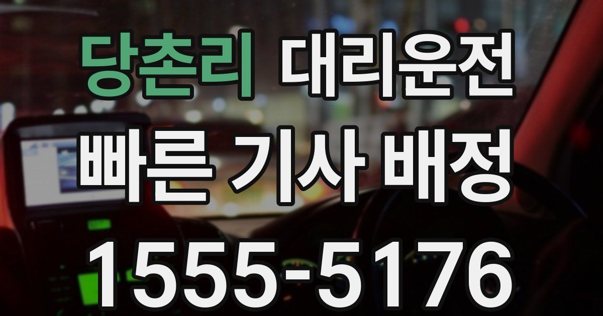 일일대리기사
