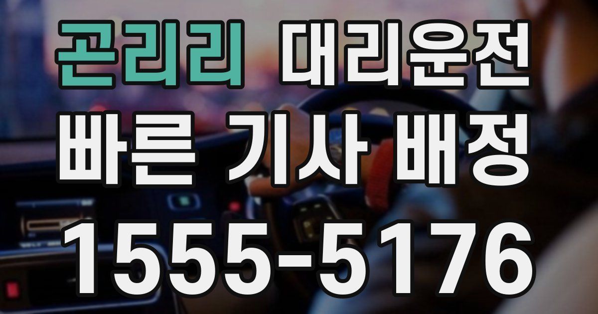 일일대리기사