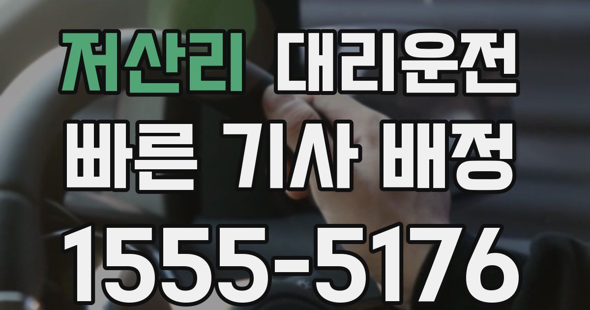 일일대리기사