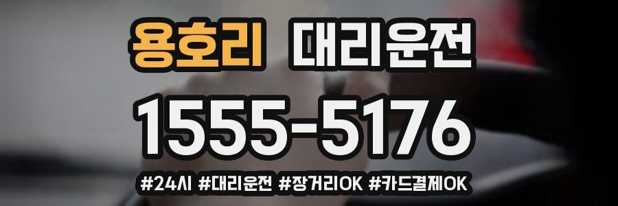 용호리 대리운전