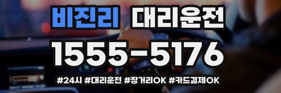 비진리 대리운전
