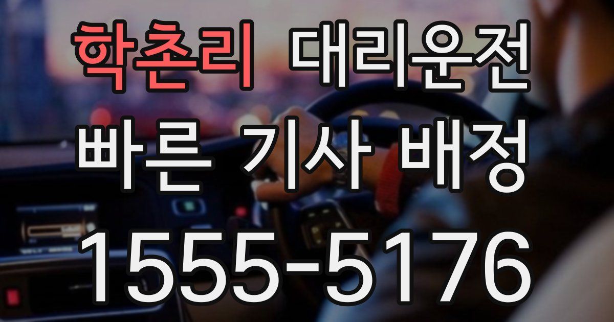일일대리기사