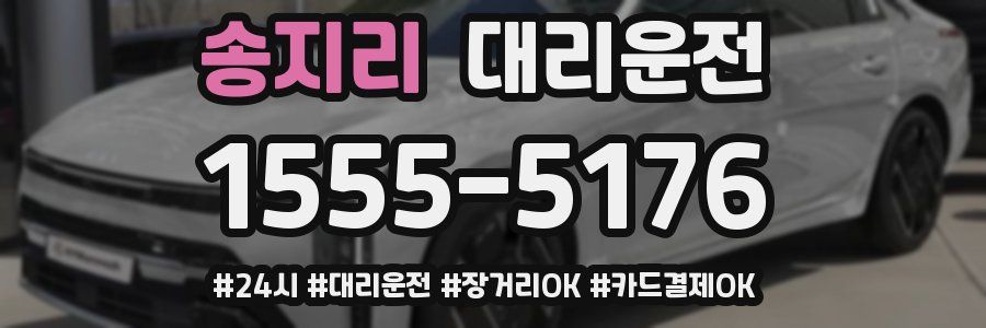 송지리 대리운전