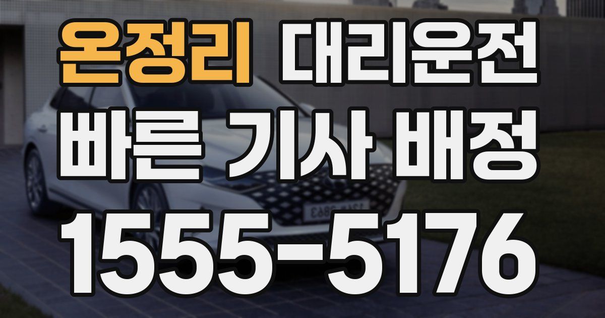 일일대리기사
