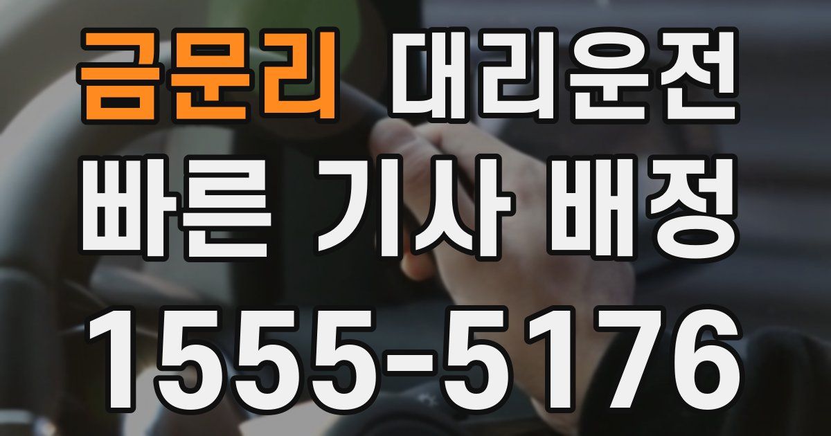 일일대리기사