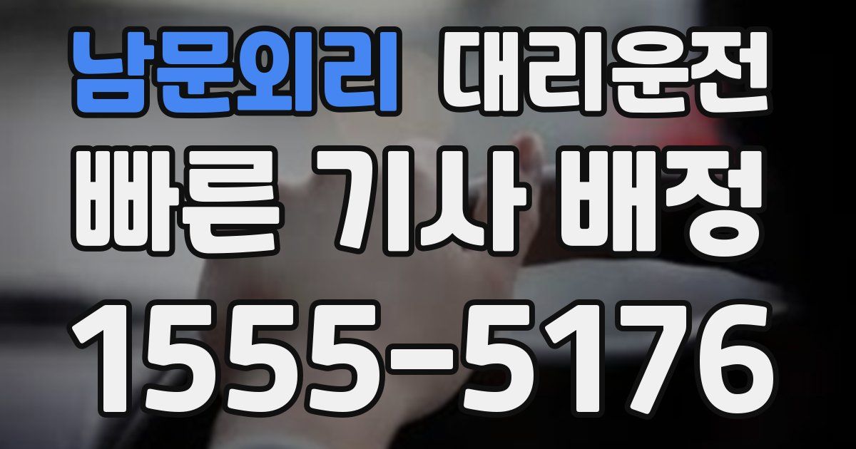 일일대리기사