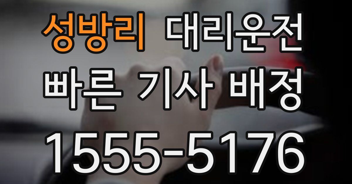 일일대리기사