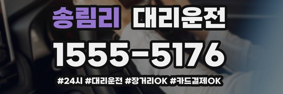 송림리 대리운전
