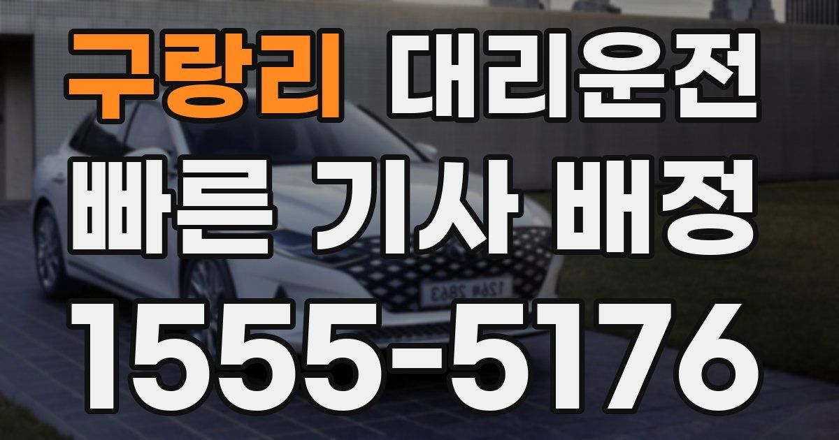 일일대리기사