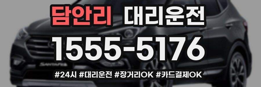 담안리 대리운전