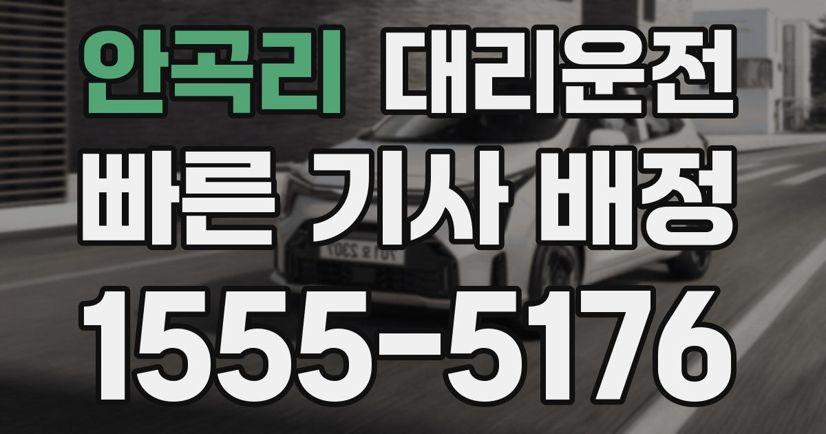 일일대리기사
