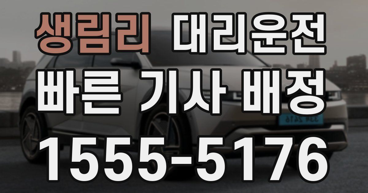 일일대리기사