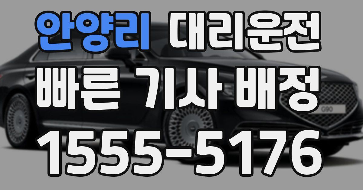 일일대리기사