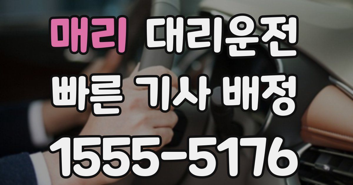 일일대리기사