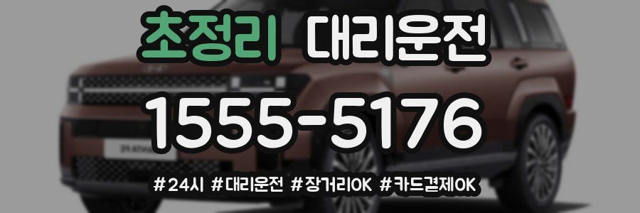 초정리 대리운전