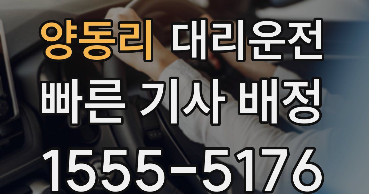 일일대리기사