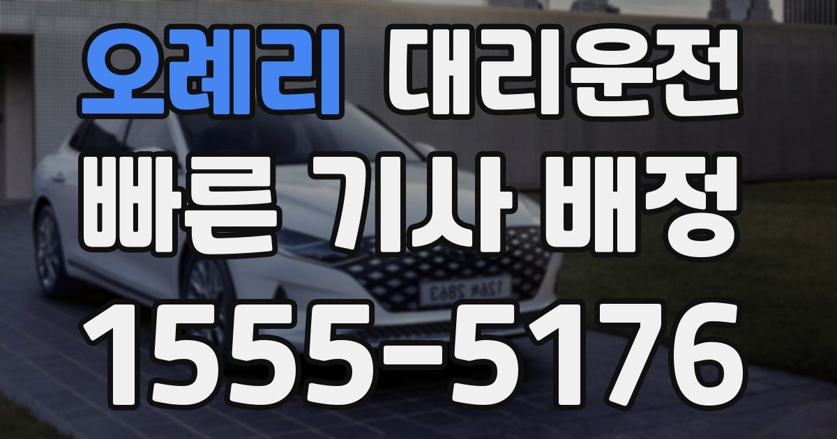 일일대리기사