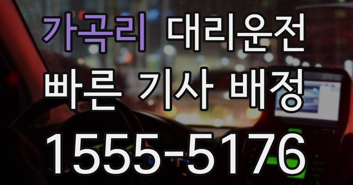 일일대리기사