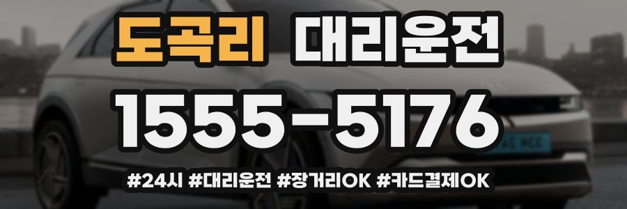 도곡리 대리운전