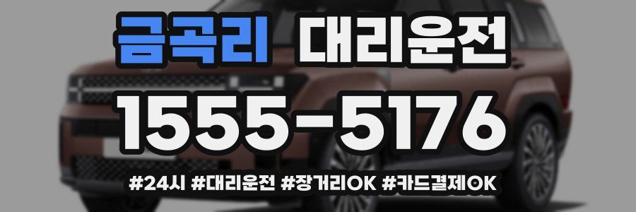 금곡리 대리운전