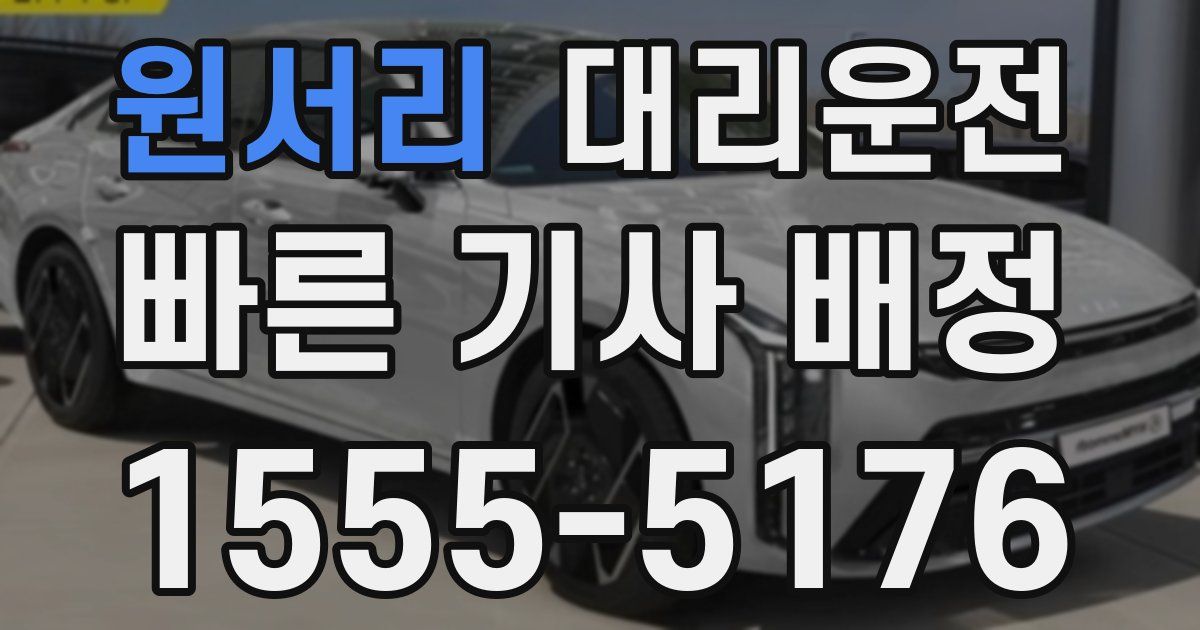 일일대리기사