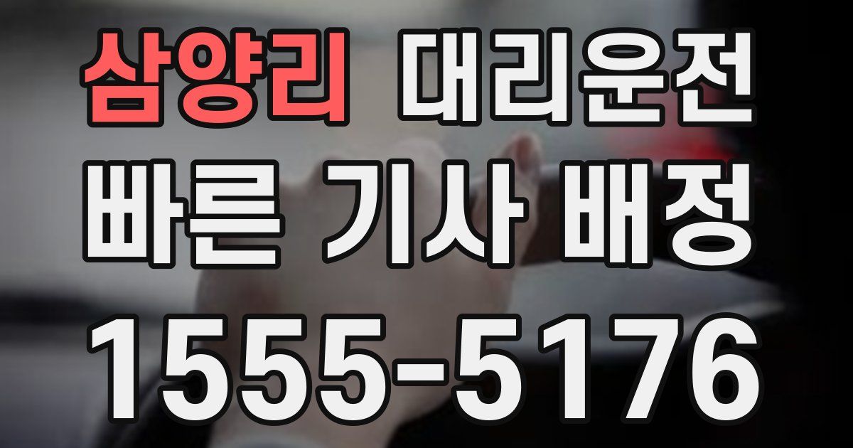 일일대리기사