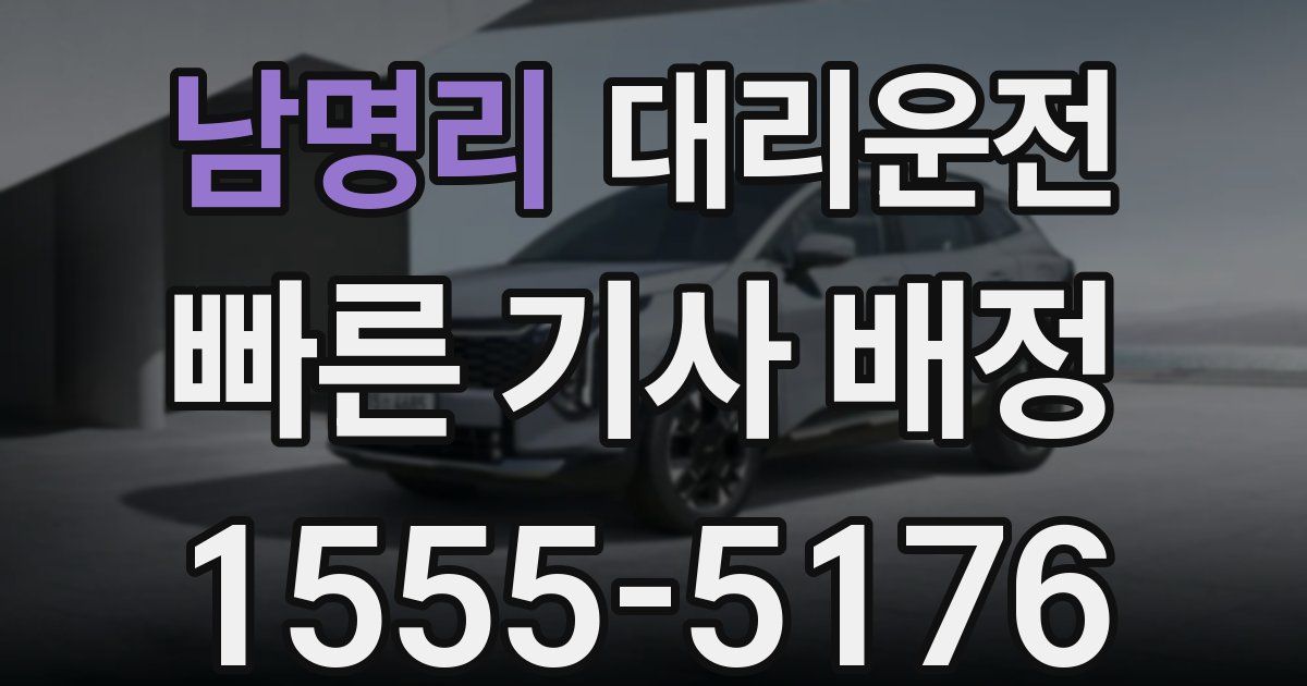 일일대리기사