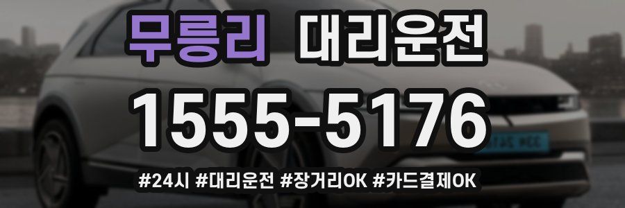 무릉리 대리운전