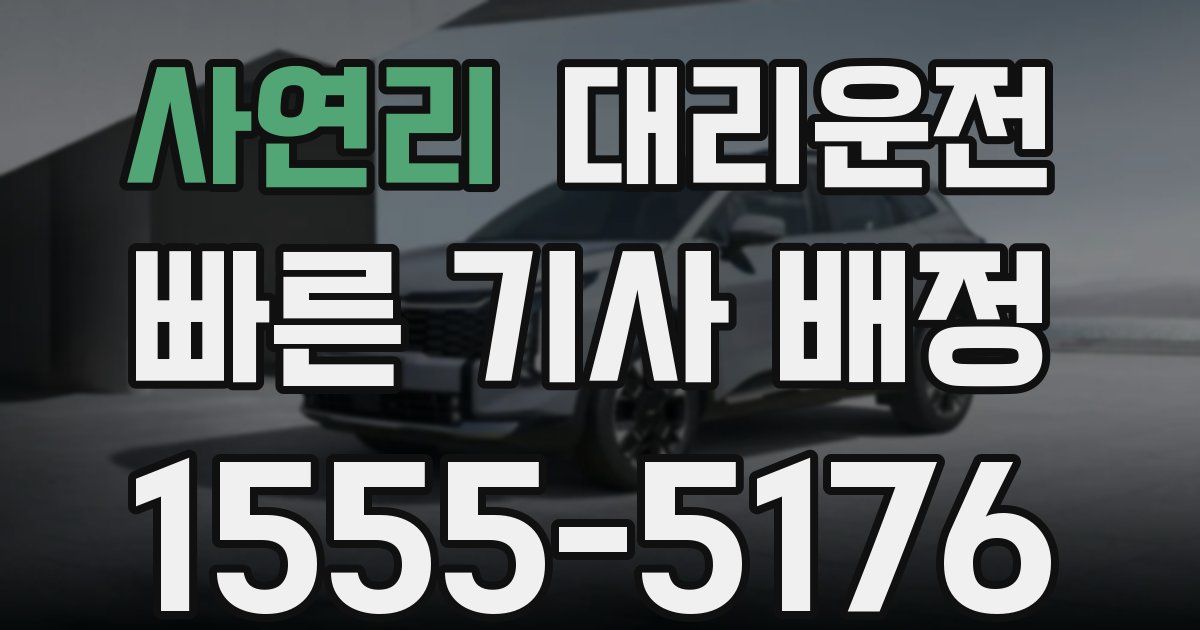 일일대리기사
