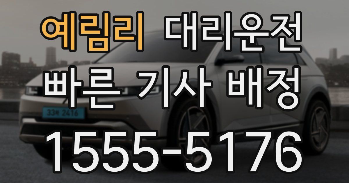 일일대리기사