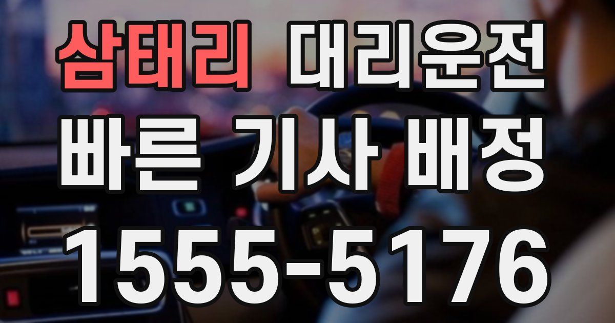 일일대리기사